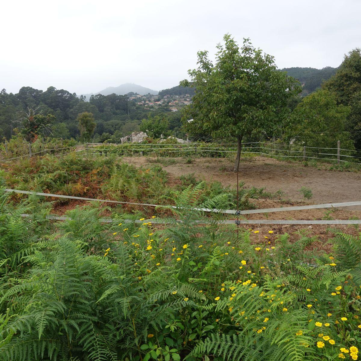 Finca en Venta en Gondomar