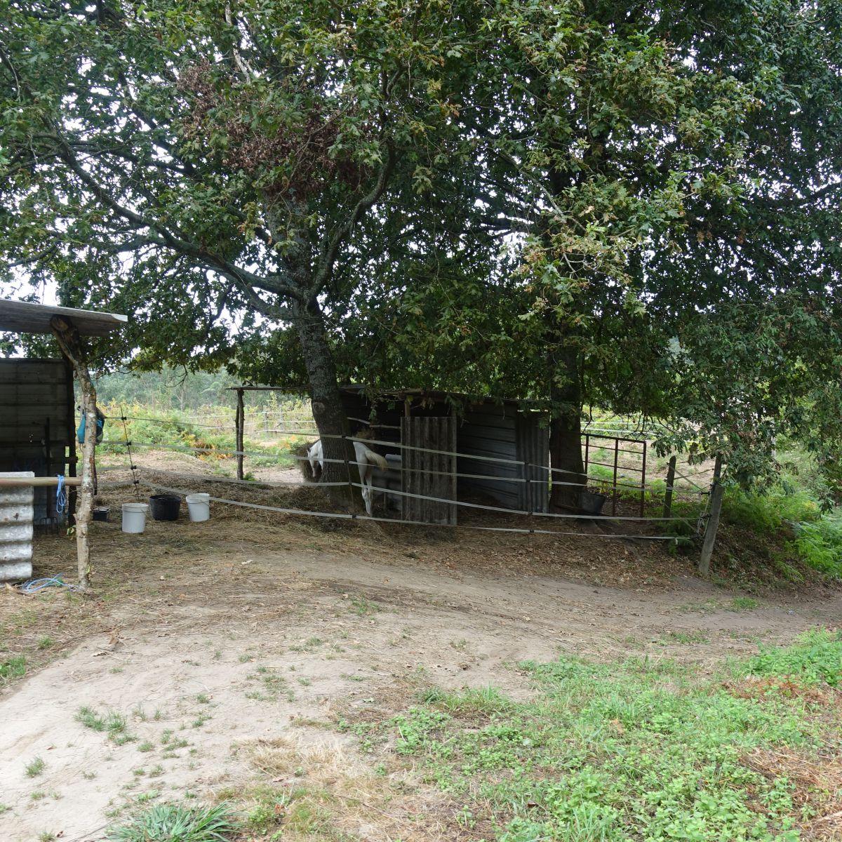 Finca en Venta en Gondomar