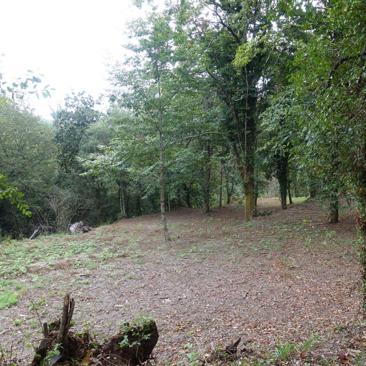 Finca en Venta en Gondomar