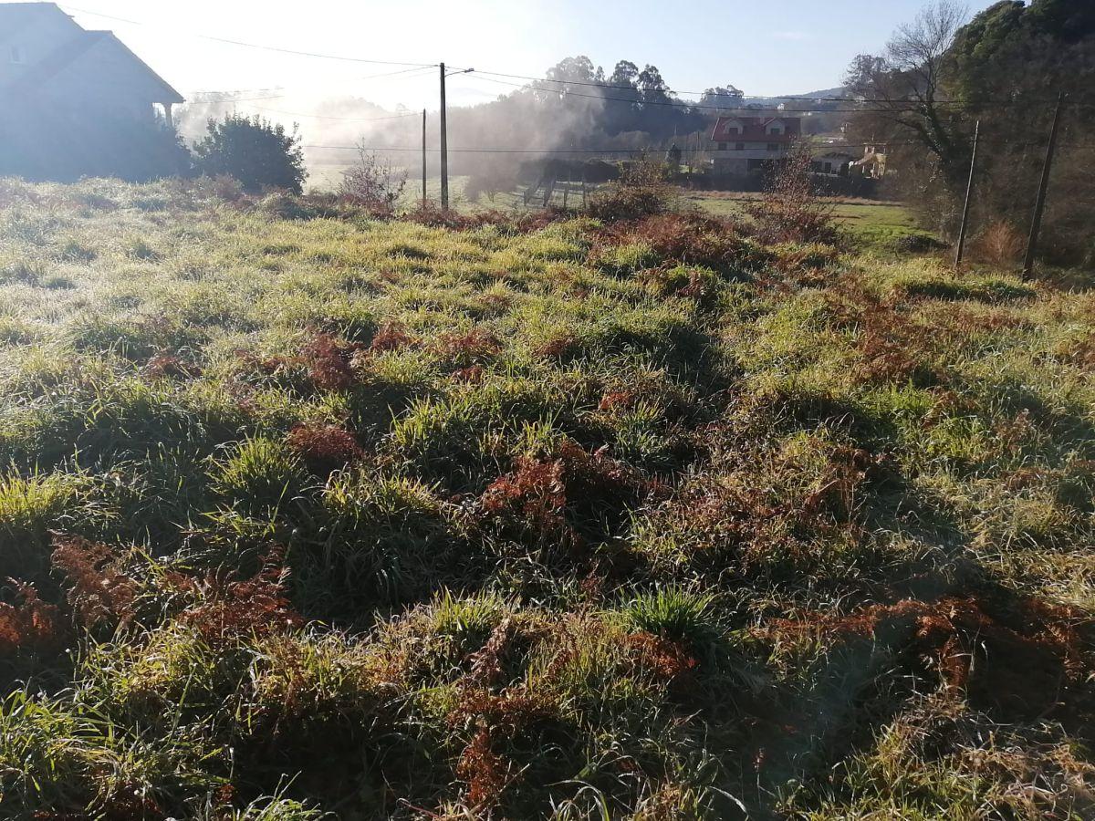 Solar en Venta en Tomiño