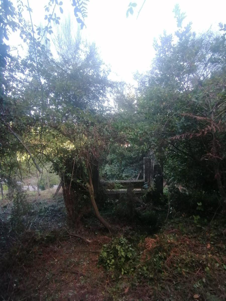 Casa en Venta en Arbo