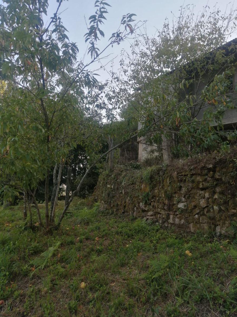 Casa en Venta en Arbo