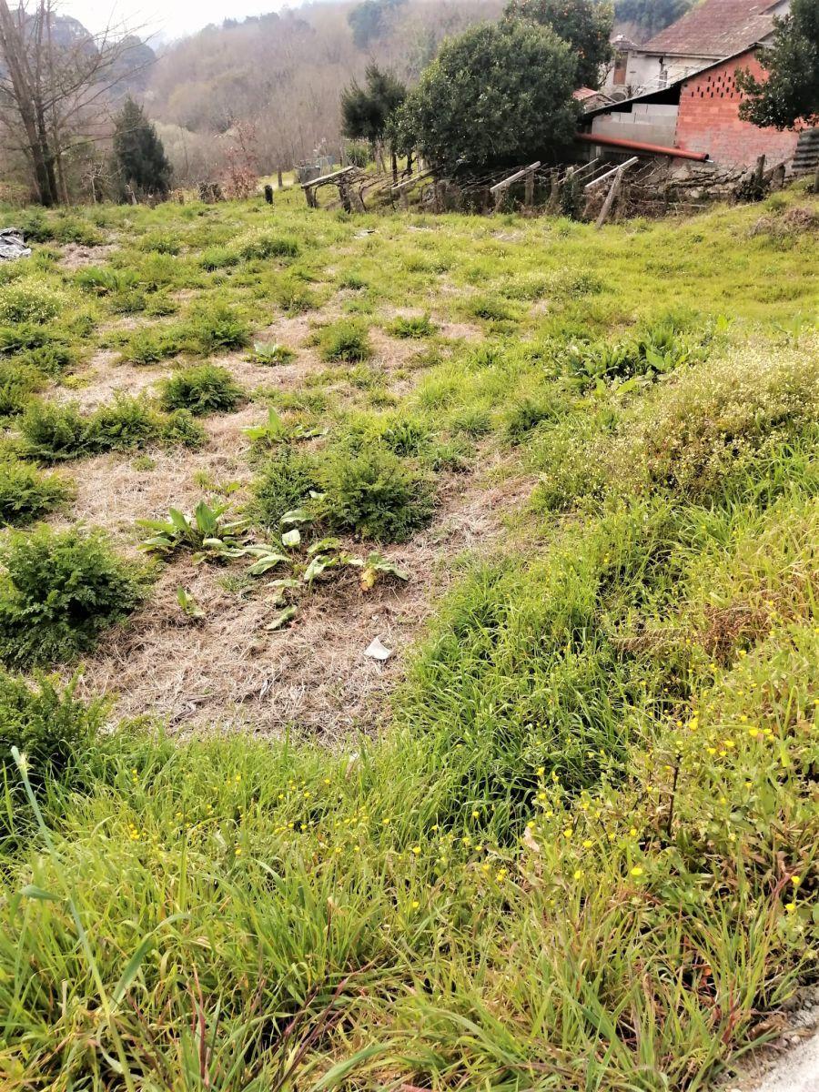 Building Site for Sale in Mondariz