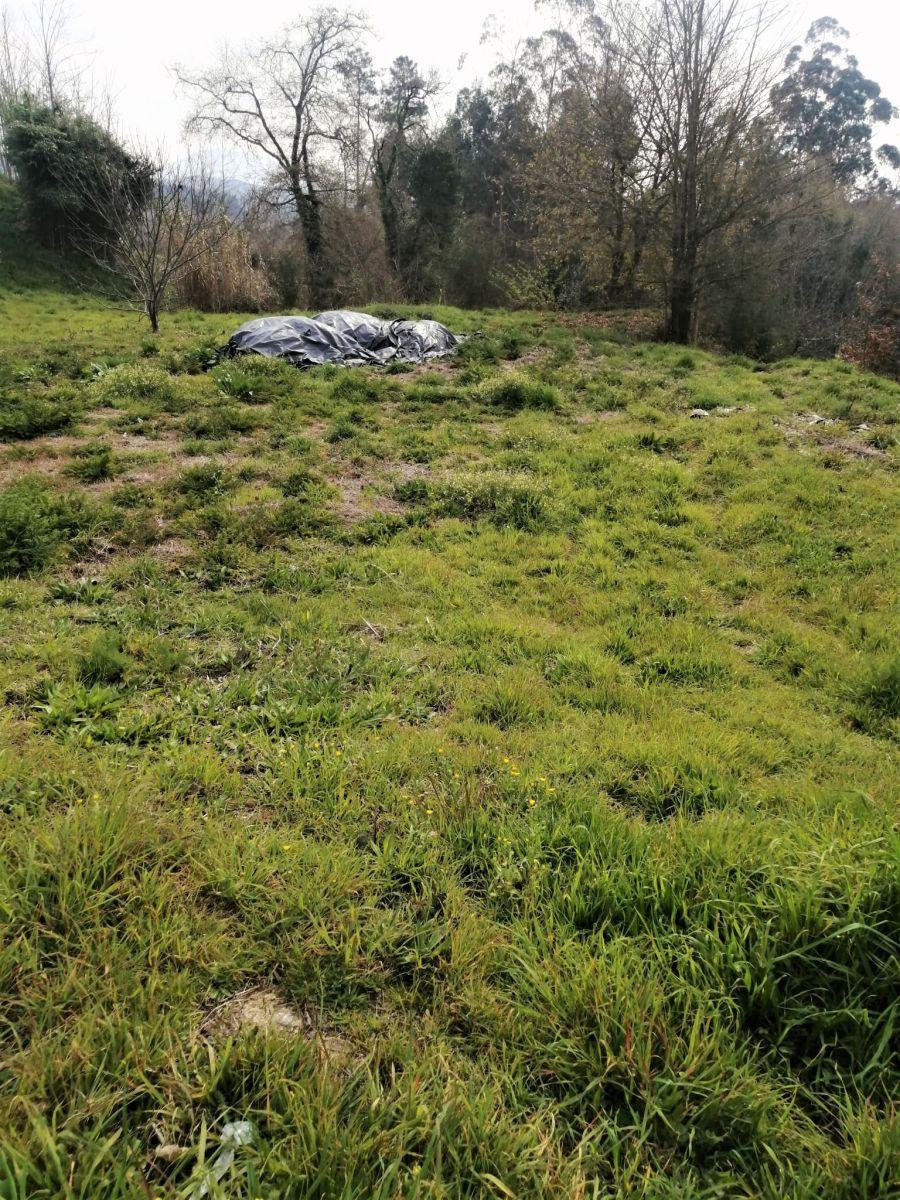 Building Site for Sale in Mondariz