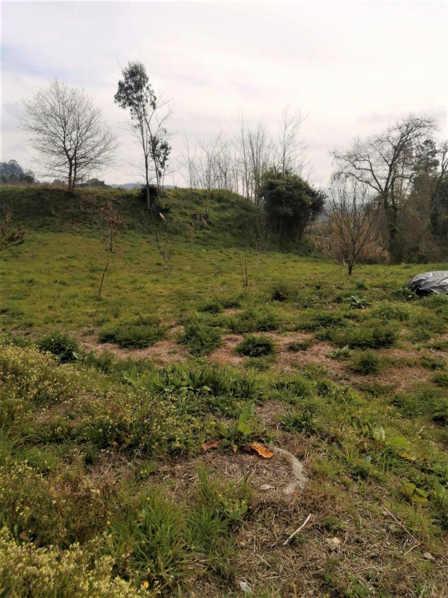 Building Site for Sale in Mondariz