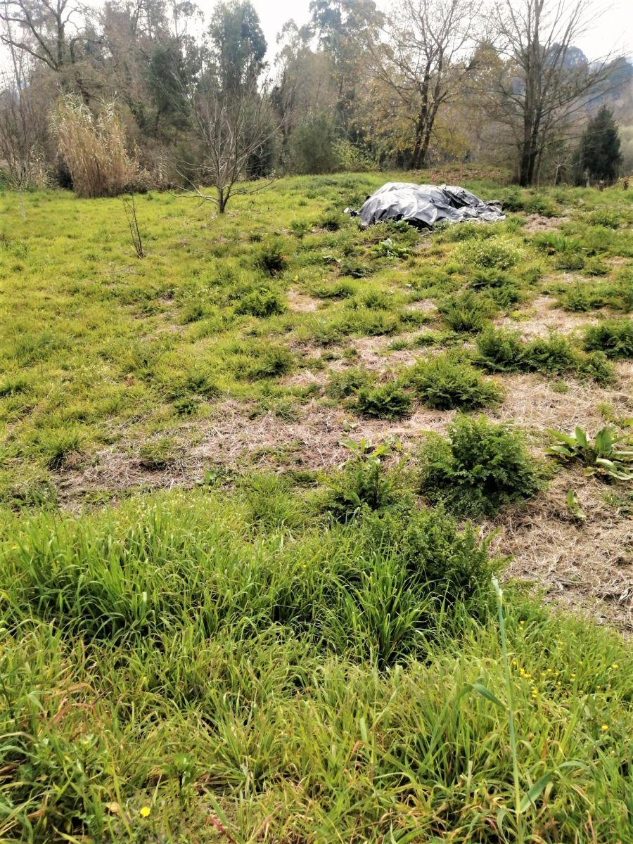 Building Site for Sale in Mondariz