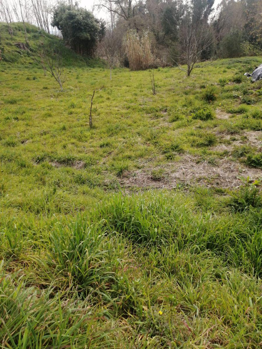Building Site for Sale in Mondariz