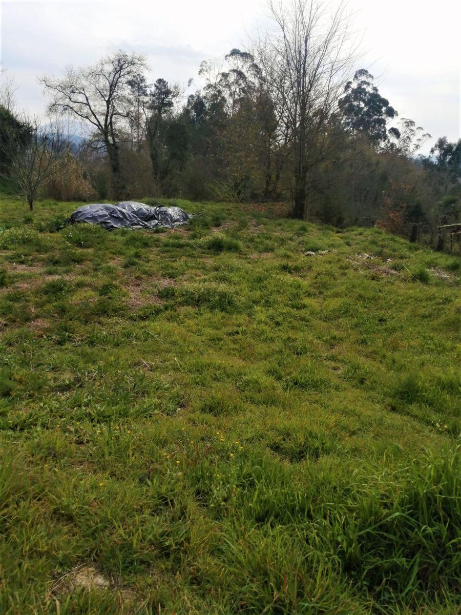 Building Site for Sale in Mondariz