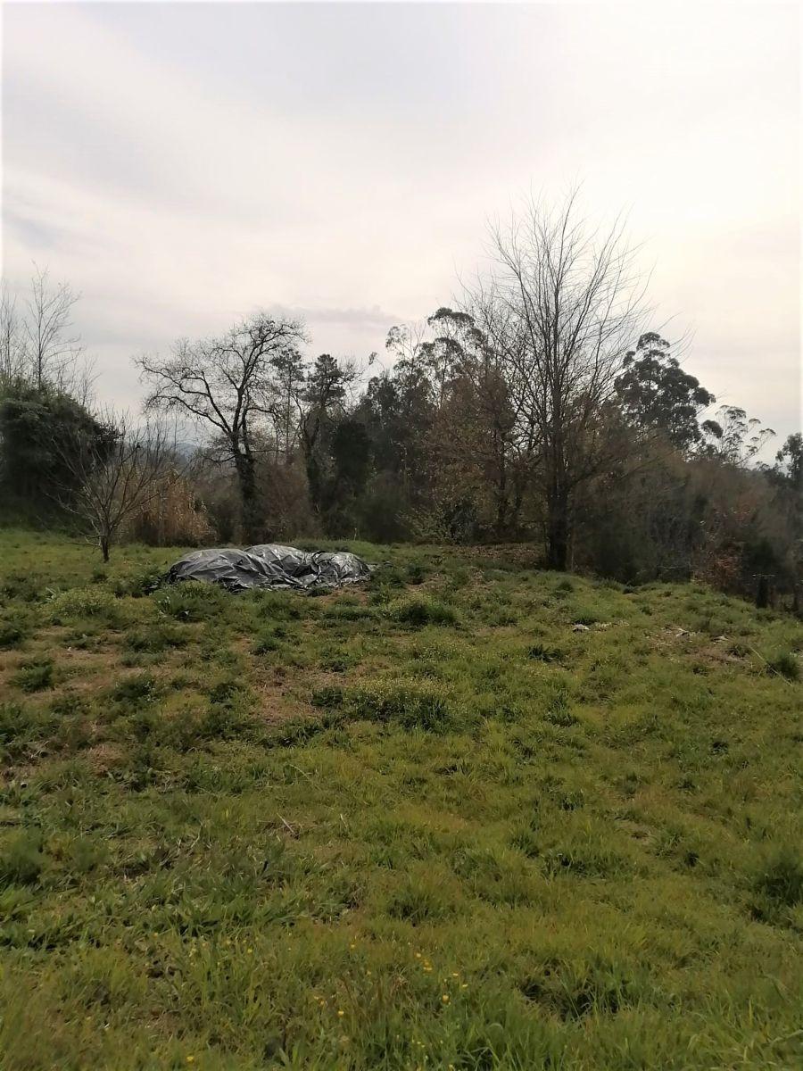 Building Site for Sale in Mondariz
