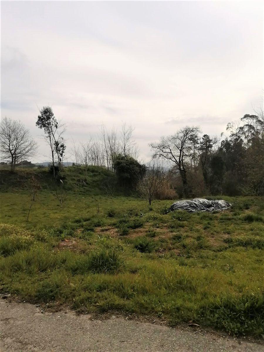 Building Site for Sale in Mondariz