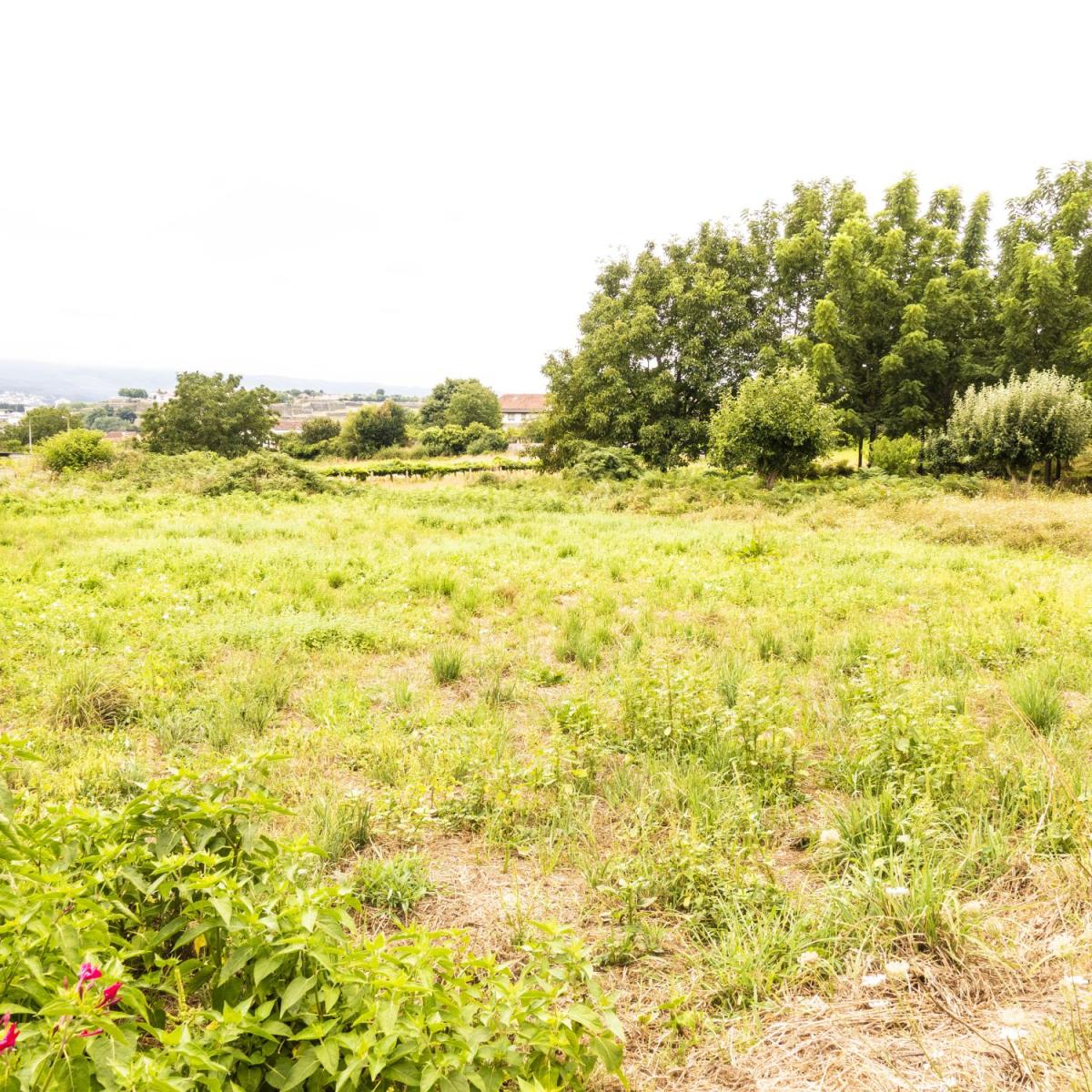 Building Site for Sale in Tui