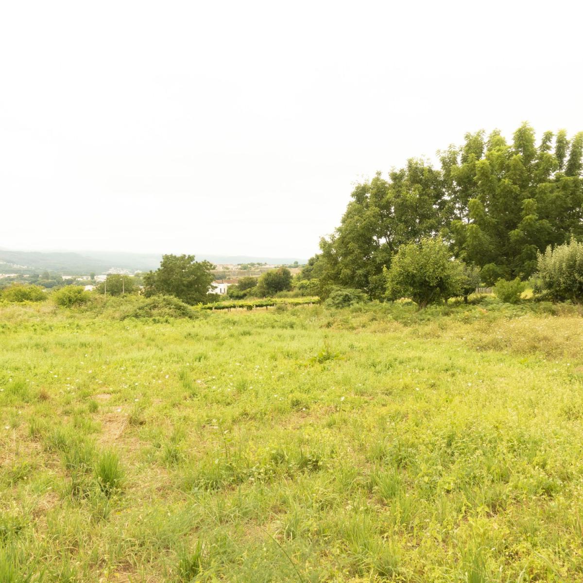 Building Site for Sale in Tui