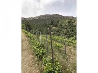 Country property for sale in El Lloar - 044329