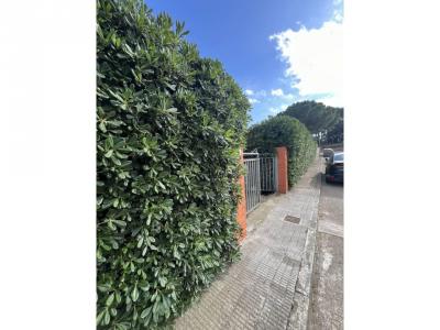 Plot for sale in Alforja - 044367