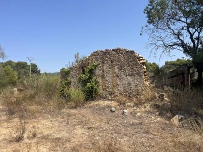 Finca en venta en Les Borges del Camp - 044372 Finca en venta en Les Borges del Camp - 044372