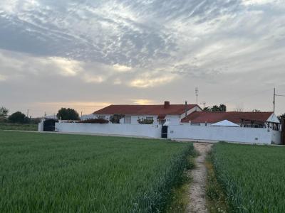 Villa in vendita a Dolores - 16-FB7DO