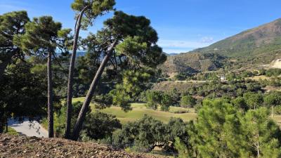 Участок на продажу в La Zagaleta-El Madroñal - PANR-16236 Участок на продажу в La Zagaleta-El Madroñal - PANR-16236