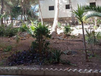 Apartment for sale in Montemar - 3040