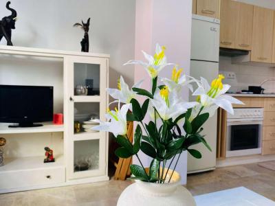 Appartement à louer à Solymar - Puerto Marina - 3089 Appartement à louer à Solymar - Puerto Marina - 3089