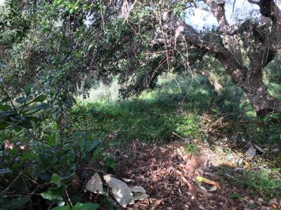 出售地块Sotogrande Alto - 428-01275P