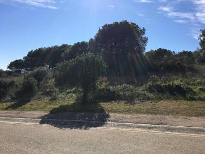 Tomt till salu i Sotogrande Alto - 428-00799P Tomt till salu i Sotogrande Alto - 428-00799P