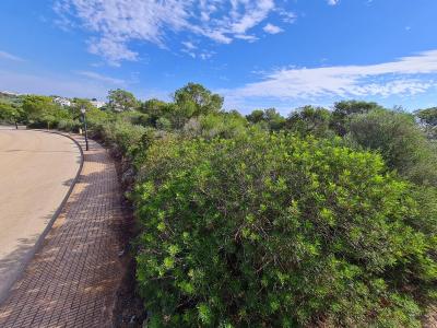 Solar en venta en Cala D'or - 72898