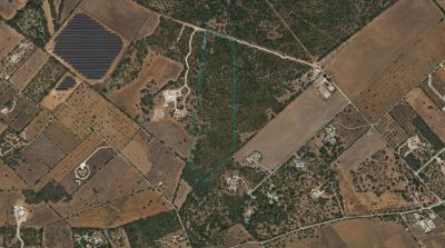 Solar en venta en Santanyí - 74655