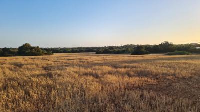 Solar en venta en Santanyí - 74654