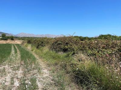 Solare in vendita a Ciutat d'Alcúdia - 77338 Solare in vendita a Ciutat d'Alcúdia - 77338