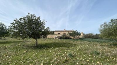 ماريا دي لا سالود عزبة للبيع - 78553 ماريا دي لا سالود عزبة للبيع - 78553