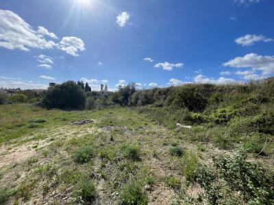 Building-site for sale in Santa Margalida - 79182