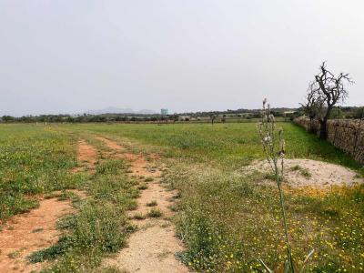 Building-site for sale in Santa Margalida - 79175