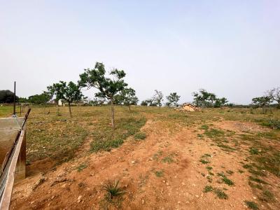 Building-site for sale in Santa Margalida - 79175