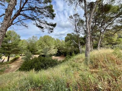 Апартаменты на продажу в Santa Ponça - 79401 Апартаменты на продажу в Santa Ponça - 79401