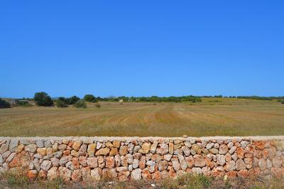 Country property for sale in Manacor Centro - 79420