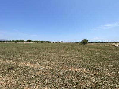 Solare in vendita a Llubí - 79889