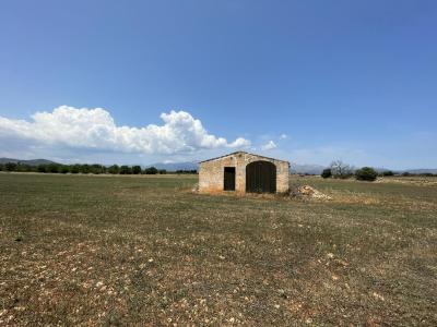 Solare in vendita a Llubí - 79889