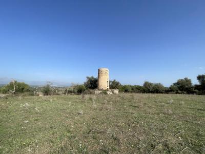 Solare in vendita a Llubí - 80820