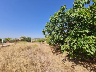 Building-site for sale in Santa Margalida - 79690