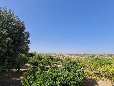 Building-site for sale in Santa Margalida - 79690
