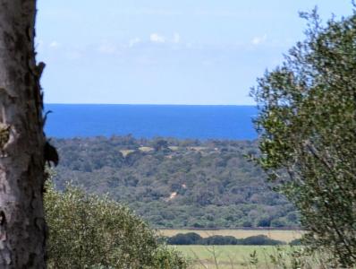 Участок под застройку на продажу в Ses Salines - 81524 Участок под застройку на продажу в Ses Salines - 81524