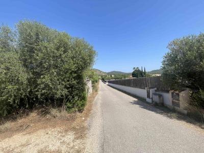 Solare in vendita a Son Servera - 81934