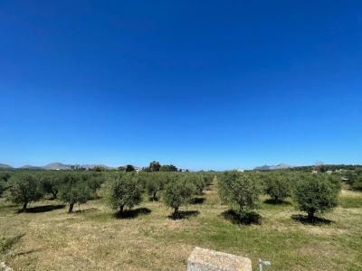 Solare in vendita a Ciutat d'Alcúdia - 79202 Solare in vendita a Ciutat d'Alcúdia - 79202
