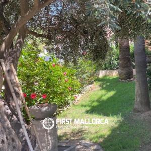 Huoneisto myytävänä Santa Ponça, Calvià - 84149 Huoneisto myytävänä Santa Ponça, Calvià - 84149