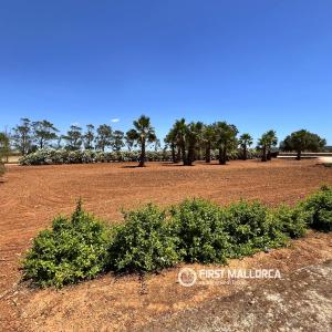 Masseria in affitto a Campos - R29959 Masseria in affitto a Campos - R29959
