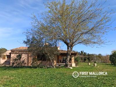 Masseria in affitto a Pollença - R28957 Masseria in affitto a Pollença - R28957