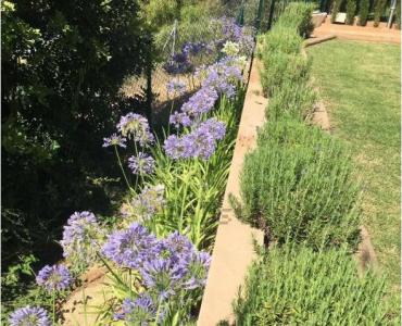 Villa in affitto a Cala Vinyes, Calvià - R29990 Villa in affitto a Cala Vinyes, Calvià - R29990