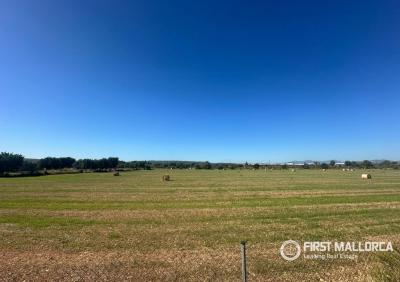 Solar en venta en Santa María del Camí - 84320 Solar en venta en Santa María del Camí - 84320