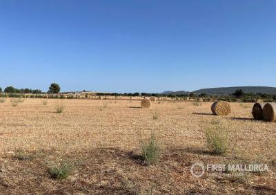 Solar en venta en Santa María del Camí - 84319 Solar en venta en Santa María del Camí - 84319