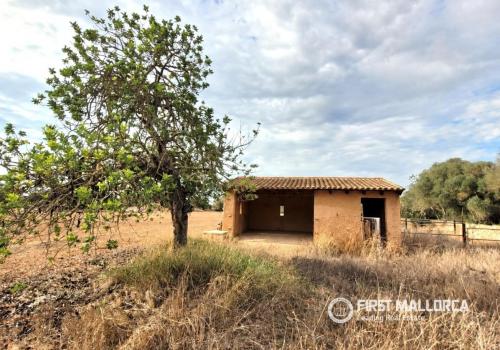 Solar en venta en Campos - 84380 Solar en venta en Campos - 84380